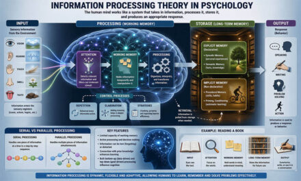 Information Processing Theory in Psychology