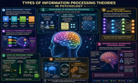 Types of Information Processing Theories in Psychology