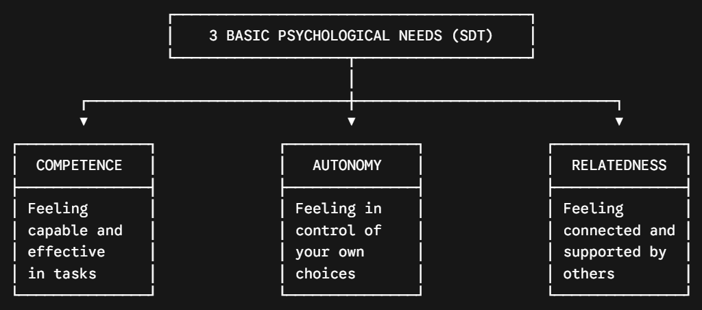 Figure: 3 Basic Psychological Needs (SDT)
