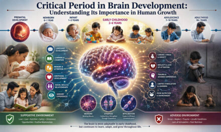 Critical Period in Brain Development